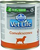 Фармина конс. VetLife д/с конвалесценсе паштет 300 гр